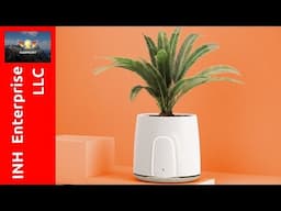 3 Indoor Plant Air Purifier Ideas