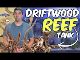 Can I Use Driftwood to Aquascape a Saltwater Reef Tank? // The Mangrove Forest Aquarium