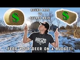 Feed Your Deer On A Budget! | Round Bale Vs Square Bales