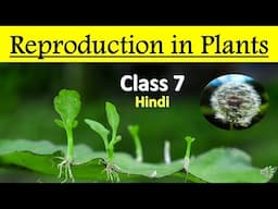 Reproduction in Plants | Full Chapter in 1 Video | Class 7 Science Chapter 12