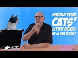 Should Your Cats' Litter Boxes be in One Room?