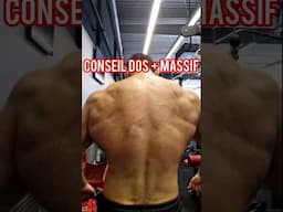 AYEZ UN DOS + MASSIF #bodybuilding #shorts #shortvideo #back #backworkout