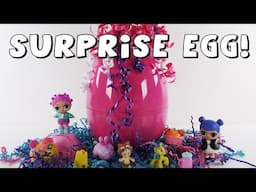 DCTC Surprise Egg, Blind Bag, LOL Surprise, Shopkins, Num Noms surprise toys opening!