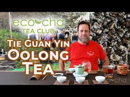 Eco-Cha Tea Club: 109 - Tie Guan Yin Oolong Tea | Eco-Cha Teas