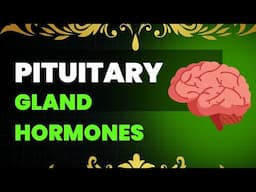 Pituitary glands hormones | Hormones of Anterior & Posterior Pituitary gland