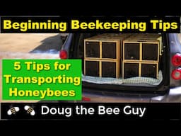 5 Tips for Transporting honeybees for Beginning Beekeepers