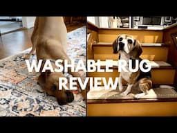 Top 5 Washable Rugs for Home & Airbnb: Long-Term Review After 2+ Years