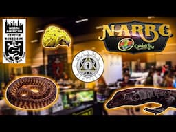 N.A.R.B.C 2021 REPTILE SHOW AT ST. LOUIS!