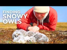 How We Risked Everything to Film Snowy Owls | Behind the Scenes