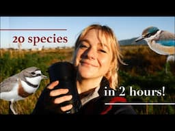 filming enchanting estuary birds in New Zealand | WAIKANAE ESTUARY SCIENTIFIC RESERVE VLOG