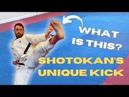 How to Use this Unique Shotokan Karate Kick - “Yoko Geri Keage”