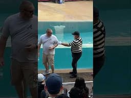 Watch what happens next 🤣👏 Tom mime Seaworld antics #seaworldmime #funny #comedy #tomthemime