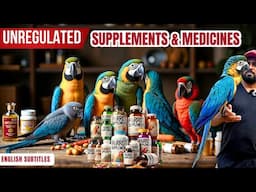 Truth About Parrot Supplements & Medicines | Exposing Unregulated Parrot Supplement Market | #parrot