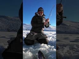 Testing Out An Auto-jigger and Hooksetter #icefishing #trout  #fishing