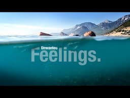 Befriending Your Feelings | (ACT) MEDITATION