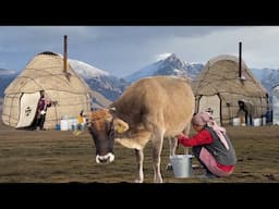 Pure life in the wild! Cow milking & making butter