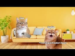 CAT MEMES WANT TO GO TO GRANDMA'S HOUSE