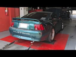 351W Small Block Ford Mustang Dyno Pulls and Build Breakdown!