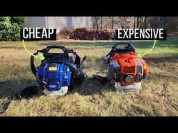 Backpack Blower Buying Guide - Wild Badger 53CC vs Husqvarna 150BT - Amazon Special vs Name Brand