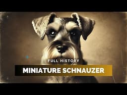 Miniature Schnauzer - Full History