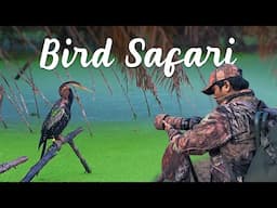 EXPERIENCE The REAL Beauty of Bharatpur Bird Sanctuary in 4K