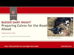 Preparing Calves for the Road Ahead