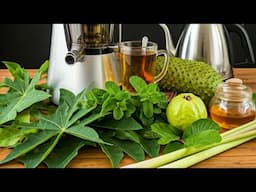 20 Powerful Medicinal Leaves Used in the Caribbean 🌿 | Natural Remedies & Traditional Healing