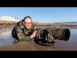 How to Photograph Wading Birds on the Beach: From Failure to Success