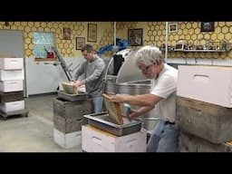 Harvesting over 300 pounds of honey in December: The whole process.