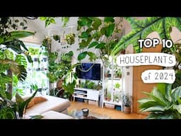 My 10 BEST + Favourite Plants From The Past Year! 🌿🪴