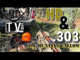 Bow Hunting Deer with a Single Shot. Big Game Hunting Victoria. 303 british (2022)