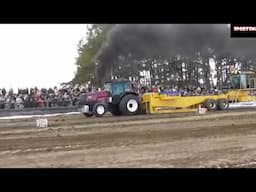 Standard & Hot Farm - Laholms Pullingfestival 2024