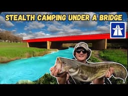 I Stealth Camped Under A Busy Motorway Bridge, With My Dog | Fishing & Cooking | Sleeping In A Tent