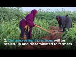 Ugbaad: Cultivating Hope and Transforming Landscapes and Livelihoods in Somalia.