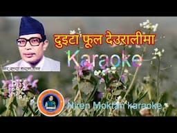 Duita Phool Deuralima दुइटा फूल देउरालीमा Karaoke with Lyrics