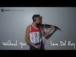 Lana Del Rey - Without You (Violin Cover)