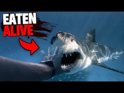 This Abalone Diver Gets EATEN ALIVE By Great White Shark In Front of His Friends!