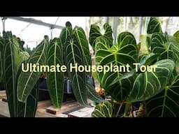 So Many Rare Houseplants!! | Ecuagenera CA