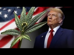 President Trump's Plan to Legalize Weed EXPOSED!