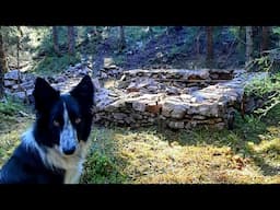 Building a Small Stone House in the Woods - Dry Stone Walling - Day 6-10