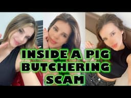 Inside a Pig Butchering Scam