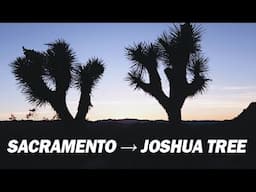 joshua tree road trip 2019