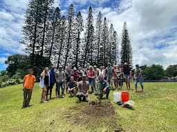 Citrus & Sweet Potato ('Uala) Workshop