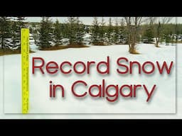 Record snow for the Month of March in Calgary - Plowing my driveway