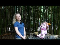 How to Brush Sloth Bear Teeth