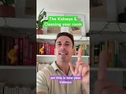 The Kidneys & Cleaning your room