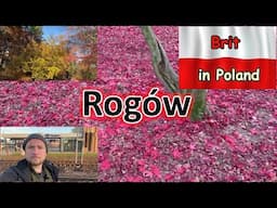 Rogów - Experiencing a Golden Autumn in a Polish Village