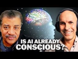 Neil & Anil Seth Discuss Consciousness in the Universe