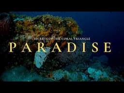 An Underwater Paradise (Official Trailer)