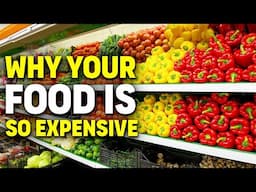 Why Your Food Is So Expensive: Financial Challenges in Farming